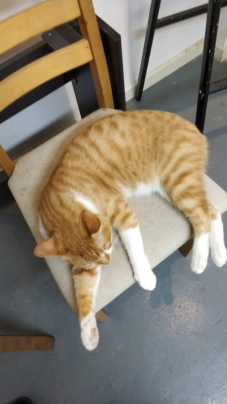 IMG_20180823_170604 (1).jpg