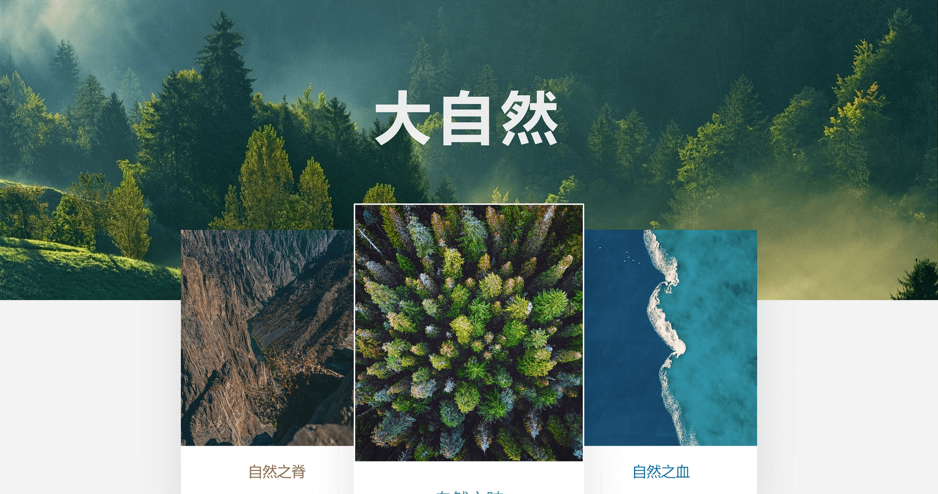 image-20201105151817103