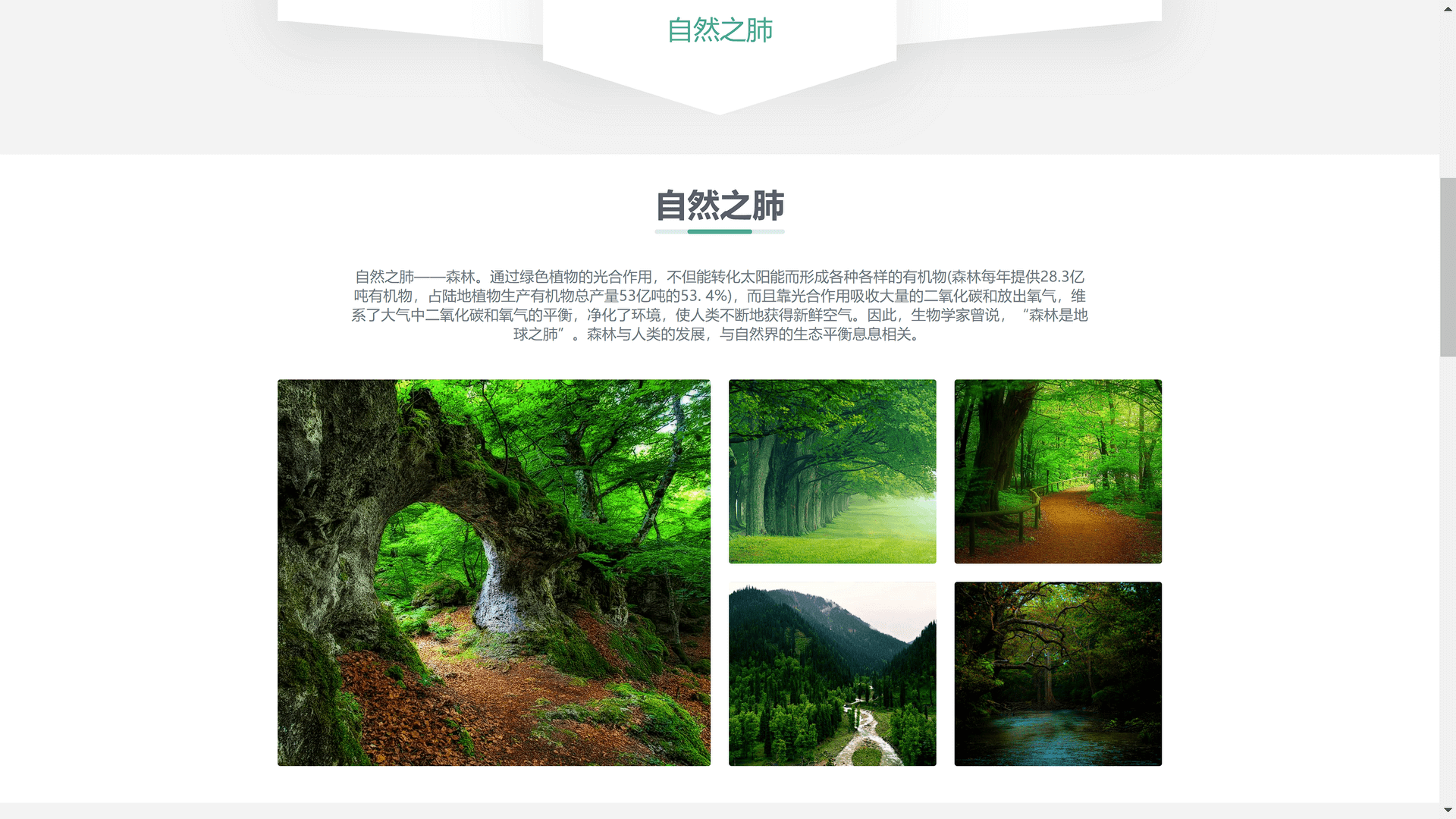 image-20201105151834620