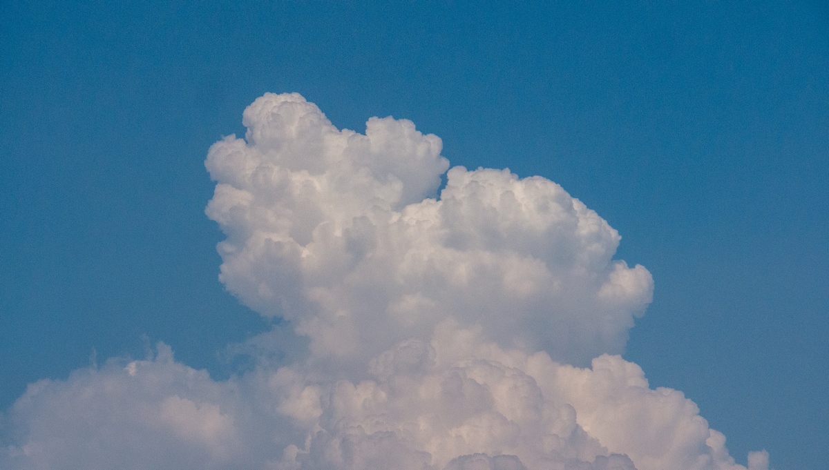 (2021年终)19岁，找回迷失的自己：热爱、勇敢以及感恩